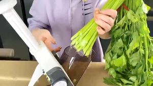 ☀️Life Core☀️ Multifunction Mandoline Slicer Vegetable Food Chopper Grinder Onion Slicer Graters and Cutter Pemotong Sayur Parut Sayur