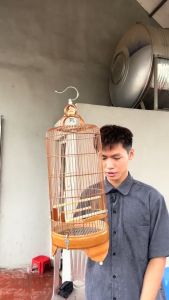 Lồng Chim Hút Mật Lồng Chim Khuyên 5 Vanh Hàng Ráp Sẵn Tặng Kèm Phụ Kiện Miễn Phí Vận Chuyển