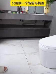 Toilet seat cover toilet bidet spray smart toilet bidet seat smart toilet bidet seat instant heat type smart cover water pressure adjustment 马桶盖