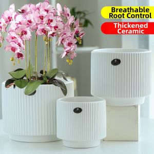MONLEYTA | Luxurious Indoor Ceramic Planter with Tray
