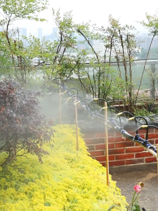 DIY Garden Micro Drip Irrigation System Plant Flower Watering Kit Siram Air Siram Bunga Pokok Easy To Use