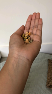 Mixed Green Bites | No Furries Delights | Small Animal & Bird Treats