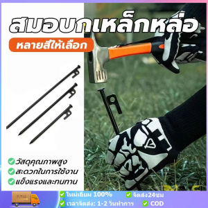 สมอบกเหล็กหล่อ รุ่นใหม่ สมอบกเต็นท์ หัวแข็งแรงกว่าเดิม หมุดยึดเต็นท์เพิ่มความหนาและความยาว การตั้งแคมป์สมอกางเต็นท์ ขนาด 20cm.-30cm. ถูกที่สุดในไทย จำนวนมากมีราคาส่ง!! พร้อมส่งทุกวัน