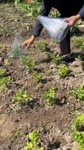 5Pcs Growth Box Planting Tent Reusable Square Use Plant Clock Cover To Protect Plants From Bird Frost and Snail Damage Green