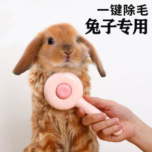Rabbit Minipet Bath Special Comb Pet Rabbit Supplies Guinea Pig Totoro Cleaning Comb Massager
