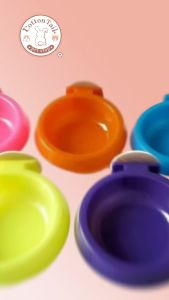 Tempat makan kelinci kucing  anjing  guinea pig dll - Pet Dish S