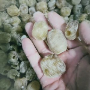 Media Casual snacks Jujube พุทราเชื่อม พุทราจีนเชื่อม อาหารแห้ง พร้อมทาน ขนาด500กรัม  พร้อมส่งทั่วประเทศ ราคาถูกสุดๆ