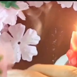 1kg HOA MAI   .HOA ĐÀO GIẢ . .xiêu lợi .xiêu tiết kiệm .hàng đẹp .dùng trang trí Tết