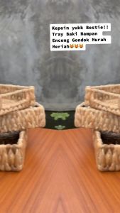 STORAGE / BOX WATER HYACHINTH / KERANJANG ENCENG GONDOK BR-01