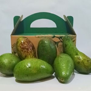 Alpukat Mentega Paket 3kg Kemasan Kardus Hampers Box Buah Segar Ibaza fruitsBOX