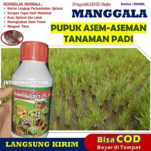 MANGGALA 500ML Pupuk Anti Asem-Aseman Padi Paling Manjur Obat Pelebat Padi Anti Penyakit Hama Virus Asem-Aseman Padi Mujarab Pupuk Pembasmi Asem-aseman Padi Pupuk Organik Cair Semprot Anti Asem-Aseman Padi Terbaik MURAH TERLARIS Bisa COD