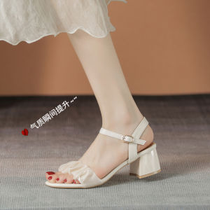 Leather Mid Heel Sandals Womens Chunky Heel 2023 Summer New Arrival Internet Celebrity Fashion Fairy Style with Skirt Buckle High Heels