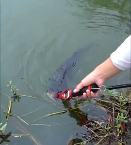 Fishing Lip Gripper With Fishing Plier Hand Grip Portable Aluminum Alloy Gripper With Weight Scale Fishing Accessories