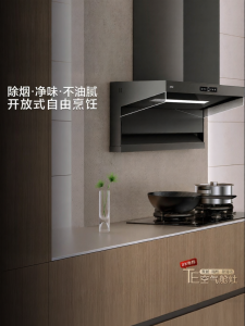 Top and Side Dual Extraction Range Hood