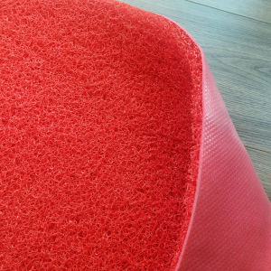 Waterproof Non-slip Entrance Carpet