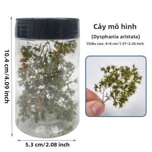 5 Chiếc Thu Nhỏ Bọt Biển Cây Mô Hình 4-6Cm Nhân Tạo Cây Bụi Cho Dioramas Đường Sắt Bố Trí Tự Làm Phong Cảnh Thủ Công Phong Cảnh Vật Dụng