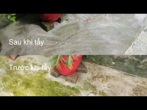 Túi 500Gr Bột Tẩy Rêu Sân Xi Măng Hiệu Quả Nhanh - Sạch Rêu Sau 10 Phút