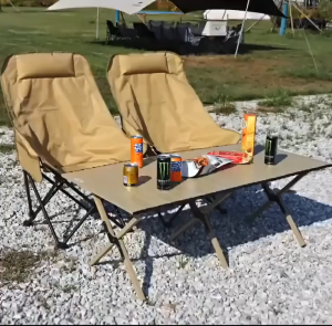 เก้าอี้แคมป์ปิ้ง เก้าอี้สนามพับได้ เก้าอี้พับได้พกพา อุปกรณ์แค้มปิ้ง ปิคนิค ตกปลา พลาสติกเสริมแรง 300กก แถมถุงจัด