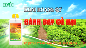 (BMC) Thuốc Trừ Cỏ Khai Hoang Q7 (900ML) - Cháy Nhanh Thế Hệ Mới 4.0 - Hàng Hiệu Chính Hãng - Lô Mới Date Cao