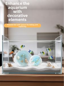 CHONGXIAOSHUAI | Natural Seashell Ornament Marine Healing Aquarium Decoration