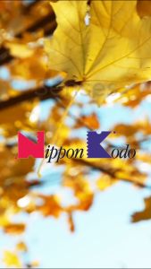 [Nippon Kodo] Kayuragi Mikan Orange 40 Sticks | Incense Expertly Crafted In Japan