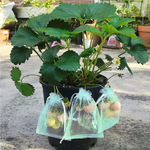 50pcs Nylon Mesh Bag Fruit Net Bag Vegetable Storage Bag Tomatoes Protection Netting Bag with Drawstring Reusable Fruit Cover for Garden Fruit Trees or Vegetables