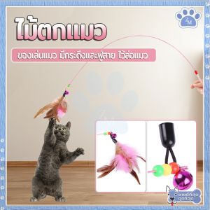 ไม้ตกแมว ของเล่นแมว สายยาว 66 ซม. ไม้ล่อแมว รุ่นปอมปอม มีกระดิ่ง/ ไม้แมว ขอเล่นแมว ไม้แมว ยาวสุด ไม้ตกแมวขนนก