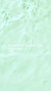 KEM DƯỠNG LÀM DỊU DA TONYMOLY HOUTTUYNIA CORDATA CICA COOLING WATERY CREAM 100ML