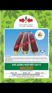 Hạt giống ngô nếp tím lai F1 Rocket Hai Mũi Tên Đỏ gói 30 gam