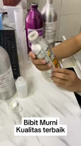 Bibit Parfum Murni 100ML Non Alkohol - Bibit Murni Tanpa campuran alkohol