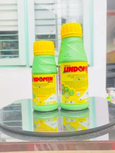 Pengendali Gulma LINDOMIN 865 SL dari NUFARM