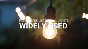 Dây đèn led trang trí ngoài trời dây led đèn tròn trang trí quán cafétrà sữadecor event 5m 10m