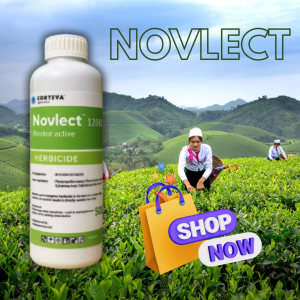 Novlect 120EC Herbicide for Grass Sedge & Broadleaf Weeds
