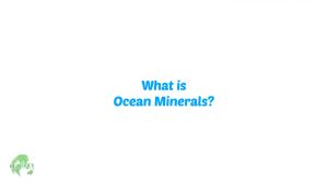 OCEAN minerals Drops Authentic and Original 30ML 1BOTTLE