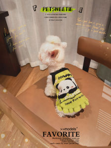 สุนัขแพนด้าไม้ไผ่เปล่า เสื้อสเวตเตอร์ เสื้อผ้าแมวไม่มีขน Pomeranian สีไล่ระดับสีเสื้อผ้าสัตว์เลี้ยง Yorkie Poodle Puppy Doll Face