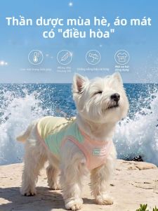 hipidog | Quần Áo Chống Nắng Làm Mát Cho Chó Mỏng