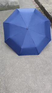 GUANGMANZHI | Promotional Sunscreen Folding Umbrella For Two People