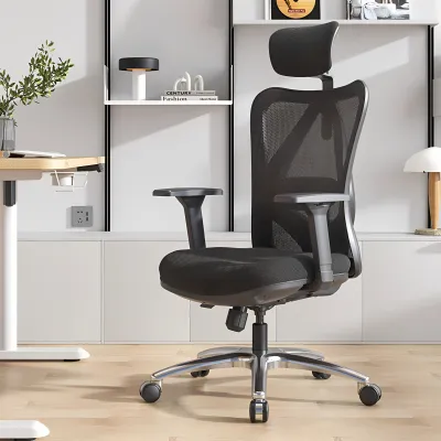 Musso | Ergonomic Office Chair