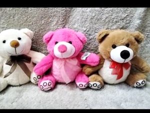 Dreamtoys96 Boneka Bear Martha Telapak Bordir Rassel M