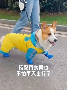 Doge&Orange พร้อมส่ง รองเท้ากันฝนสุนัข รองเท้าสุนัข กันน้ำ กันฝุ่น กันลื่น ทนทาน สำหรับสัตว์เลี้ยง 1ชุดมี4ชิ้น COD MIP210