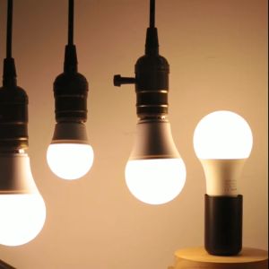 Bóng đèn Led 5w 7w 9w 12w bup tròn A bulb tiết kiệm điện kín chống nước mưa