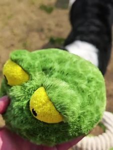 QMONSTER | Soft Furry Sound Toy for Medium to Large Dogs