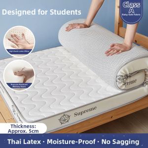 Thick Student Dormitory Single Bunk Bed Pad 90x190cm