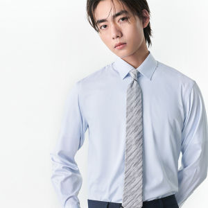 Spring New Business Dress Shirt