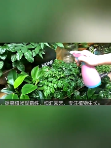 Pupuk Penyubur Tanaman 38 ML / Vitamin Tanaman / Obat Tanaman SH N04