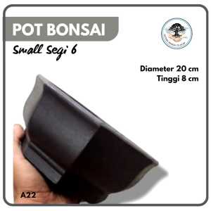 Pot Bonsai Small Segi Enam Unik Semi Cascade