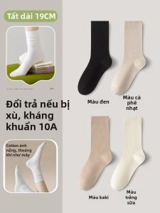 Vớ Mỏng Không Xương Cotton Thu Đông