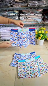 Boxer Anak Cowok Agree 6166 | Celana Dalam Bokser Anak Laki-laki Bahan Katun