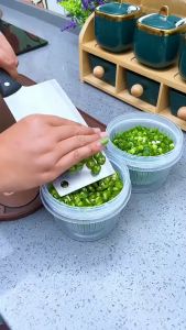 Toples Bulat / Kotak Kontainer / Box Plastik Kulkas Dengan Tirisan Saringan Bawang Sayur Transparan Bening | Wadah Tempat Penyimpanan Pengering Peniris Bawang Cabe Sayuran Buah Bumbu Makanan Kulkas Dapur Kedap Udara Food Storage Box Container