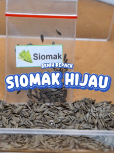 Benih Siomak Unggulan berkualitas biji selada cina china syomak somak bibit hydroponik hidroponik sayuran sayur